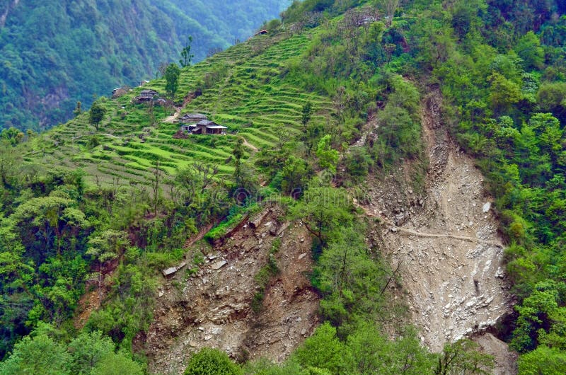Landwirtschaftsterrassen fangen Gebirgsgrüne Natur-Dorflandschaft in Nepal auf stockbild Landwirtschaftsterrassen fangen Gebirgsgrüne Natur-Dorflandschaft in Nepal auf stockbild
