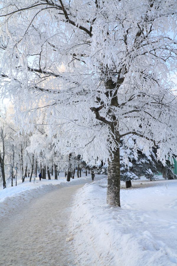 Lane in town park