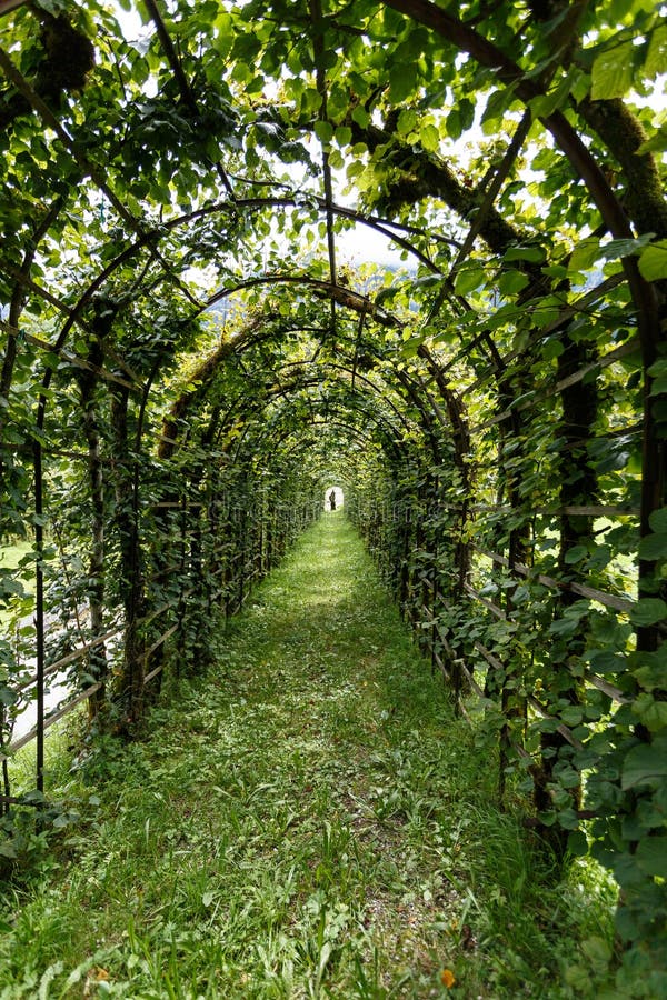 Laube im Garten stockbild. Bild von tranquil, sommer