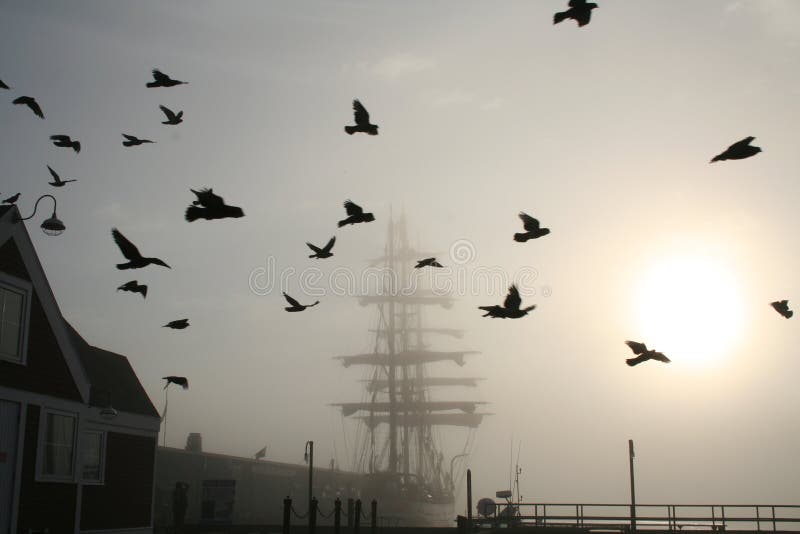 Lang Schip met Vogels stock afbeeldingen Lang Schip met Vogels stock afbeeldingen