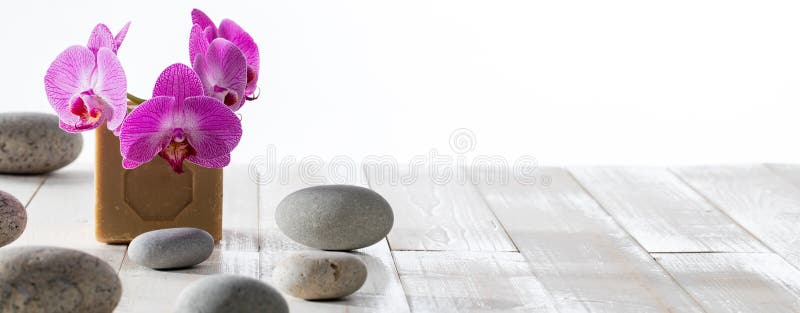 Lange banner voor elegant groen welzijn, natuurlijke schoonheid, exemplaarruimte stock fotografie Lange banner voor elegant groen welzijn, natuurlijke schoonheid, exemplaarruimte stock fotografie