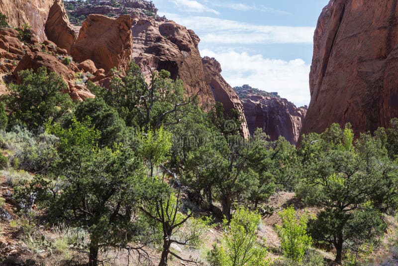 Download Lange Canion op Burr Trail stock foto. Afbeelding bestaande uit zuidwesten - 107707556
