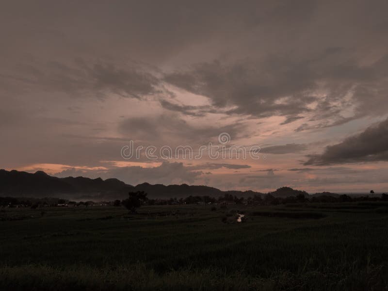 Langit petang