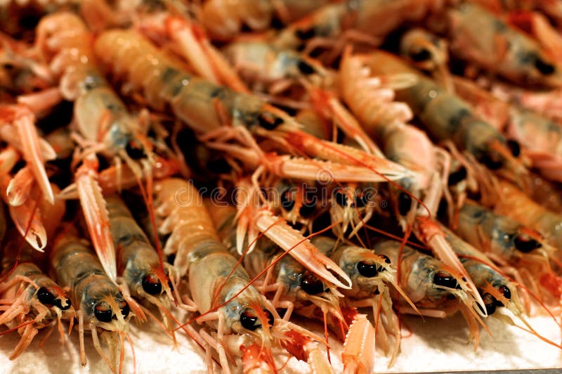 Mucchio dei Langoustines crudi freschi in primo piano del mercato ittico all'aperto Fuoco su priorità alta