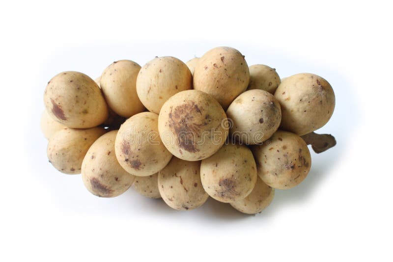 Download Langsat - Fruit Tropical D'Asie Du Sud-Est Photo stock - Image du doux, jaune: 45363602