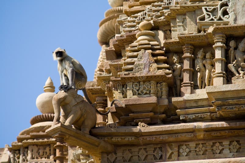 Langur (Colobinae), Tempels Khajuraho. royalty-vrije stock foto's Langur (Colobinae), Tempels Khajuraho. royalty-vrije stock foto's