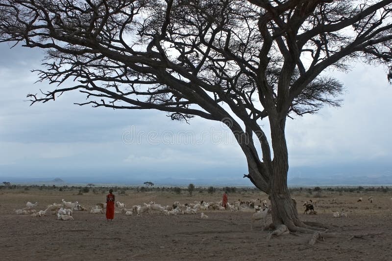 Lanscape africano con il masai. fotografie stock Lanscape africano con il masai. fotografie stock