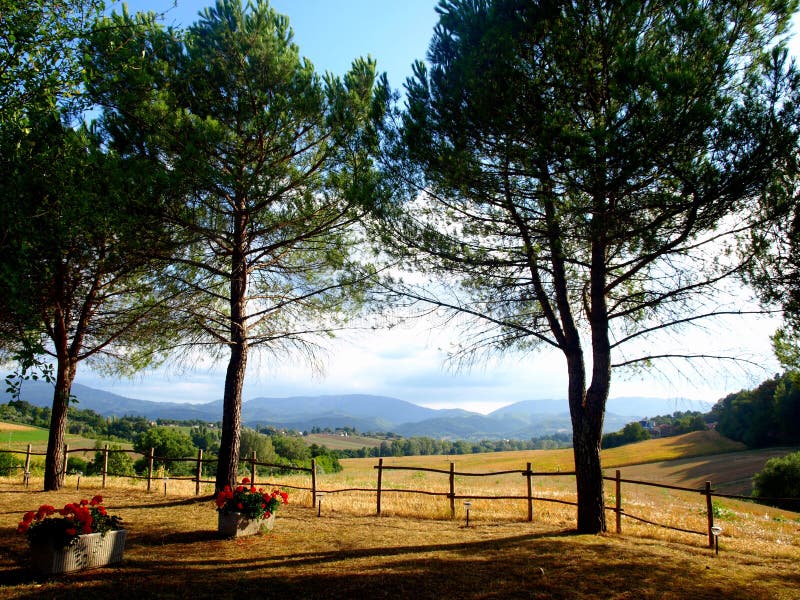 Lanscape in countryside