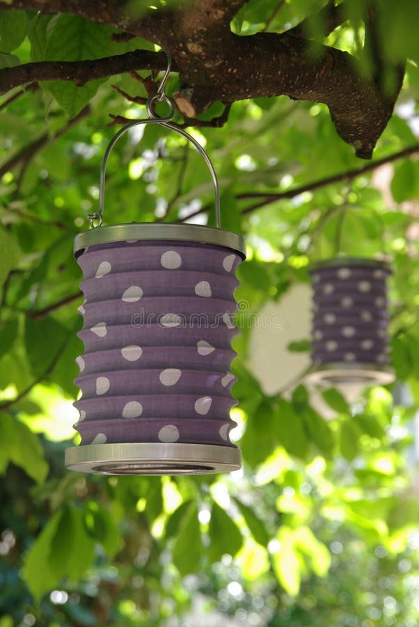 Polka dot decorated lanters in a gerden party. Polka dot decorated lanters in a gerden party