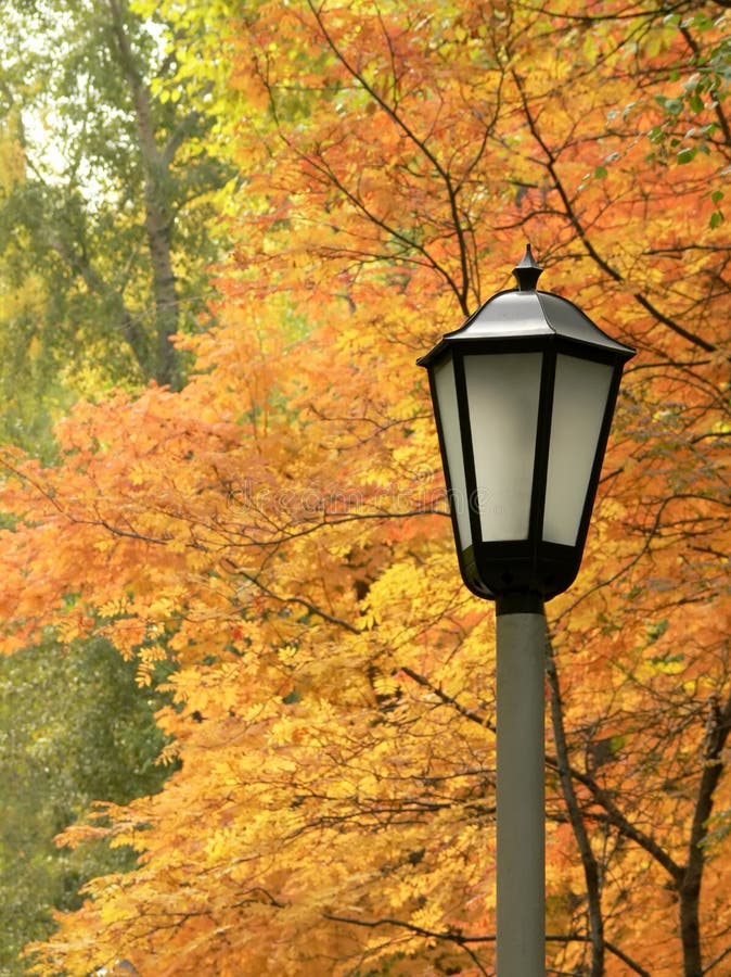 Lantern against autumn yellow trees.