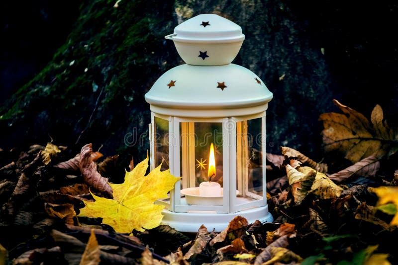 Lantern with a Candle in the Woods among the Fallen Leaves at Night