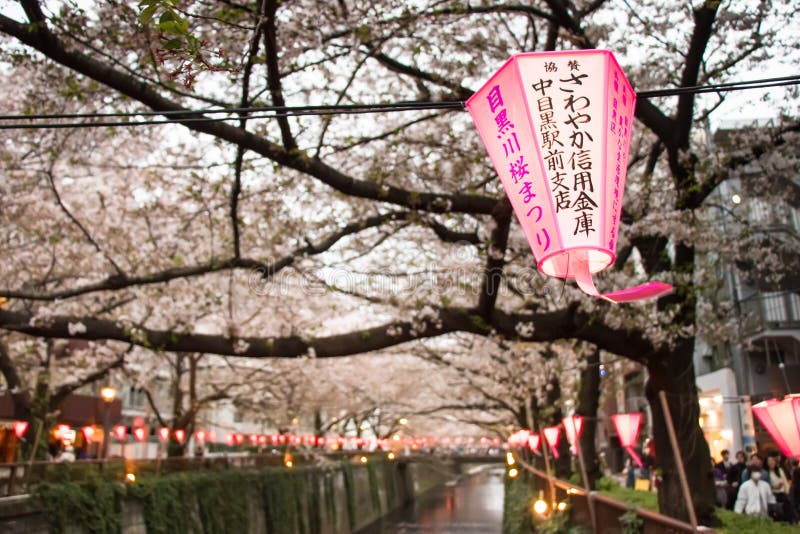 Lantern in Sakura Festival in Japan. The lantern reads The light of God