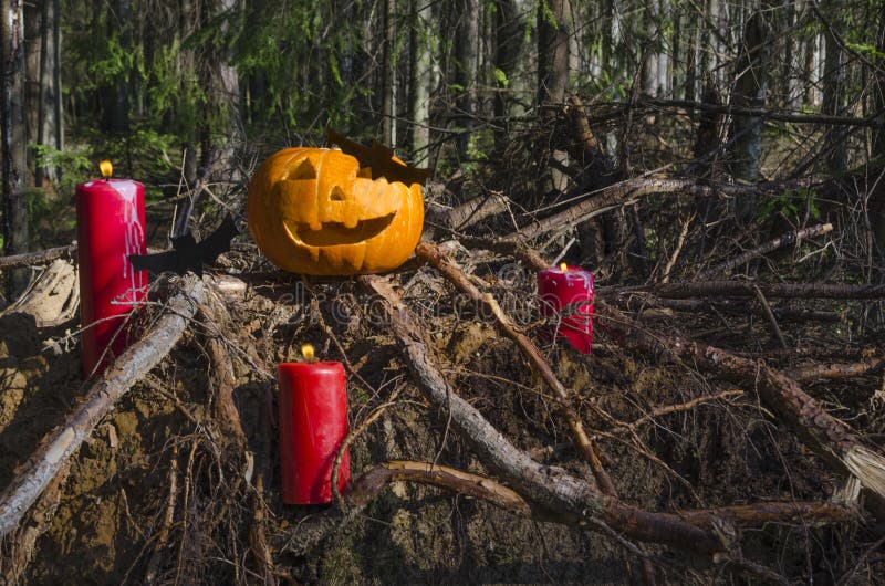 Lanterna principal do jaque da abóbora de Dia das Bruxas com velas ardentes com os bastões na floresta assustador da noite profun foto de stock Lanterna principal do jaque da abóbora de Dia das Bruxas com velas ardentes com os bastões na floresta assustador da noite profun foto de stock