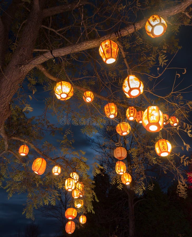 Lanterns in tree stock image. Image of night, twilight 34486905