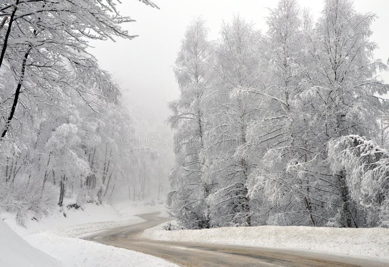 lantlig treesvinter för djupfryst väg royaltyfri foto lantlig treesvinter för djupfryst väg royaltyfri foto