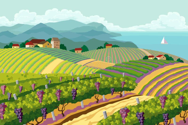 Lantligt landskap med vingården