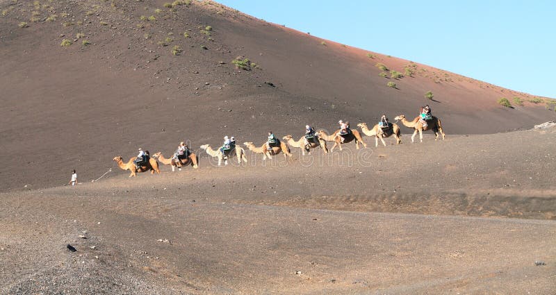 Lanzarote, Canarische Eilanden: De Caravan van de toeristendromedaris in het Nationale Park van Timanfaya royalty-vrije stock afbeeldingen Lanzarote, Canarische Eilanden: De Caravan van de toeristendromedaris in het Nationale Park van Timanfaya royalty-vrije stock afbeeldingen