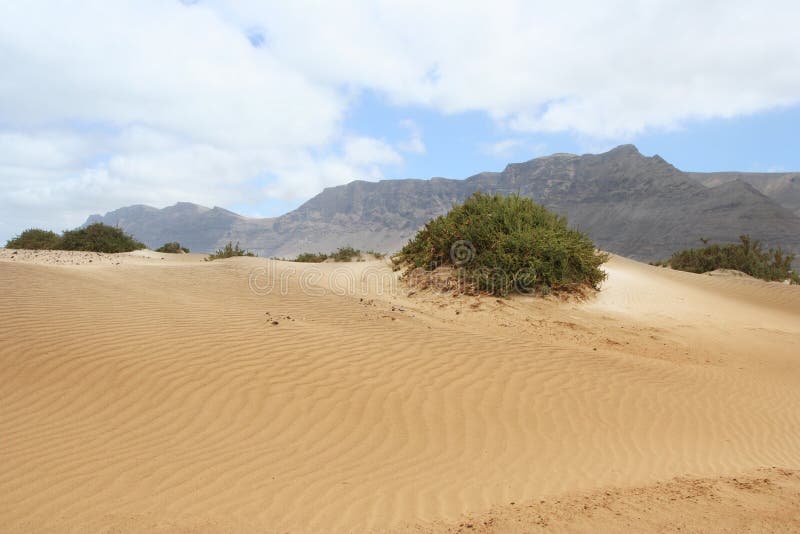Lanzarote dunes, Canary Island