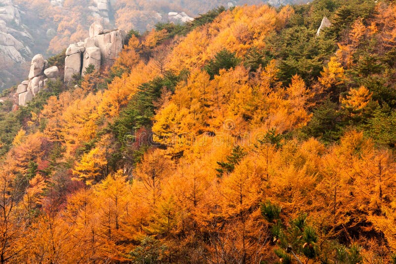 Laoshan mountains beautiful autumn scenery of China