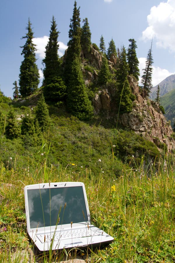 Laptop in a grass