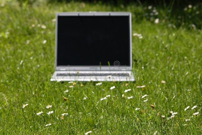 Laptop on green grass