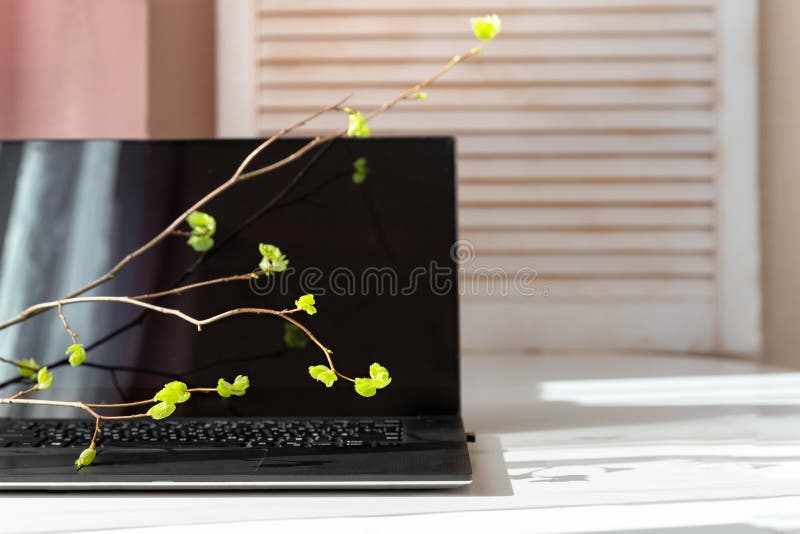 turned off computer during update turned off computer during update