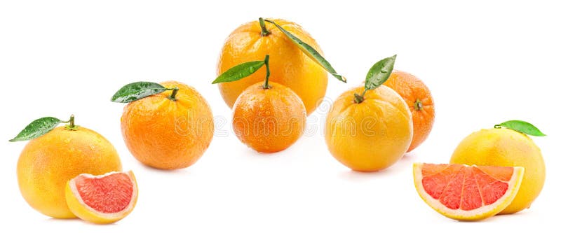 Laranja de toranja e tangerina isoladas em branco imagem de stock