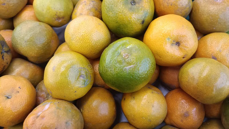 Laranja super-doce espumante imagem de stock royalty free