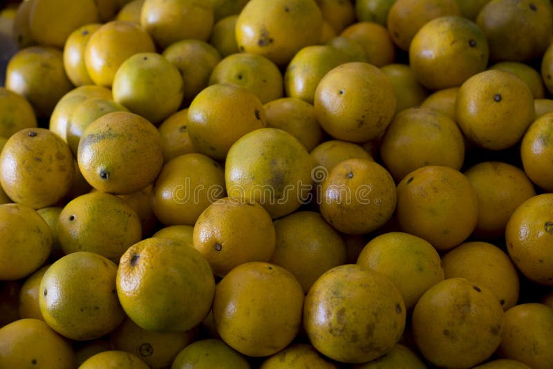 Laranjas nas pilhas escolhidas das árvores fotos de stock Laranjas nas pilhas escolhidas das árvores fotos de stock
