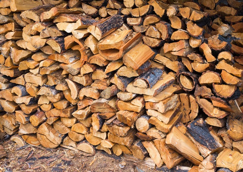 Sawn larch logs stock image. Image of timber, firewood 19529697