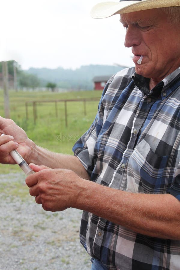 Large Animal Vet Preparing the Shot