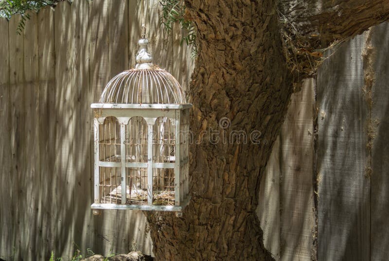 Large bird cage in a tree stock images