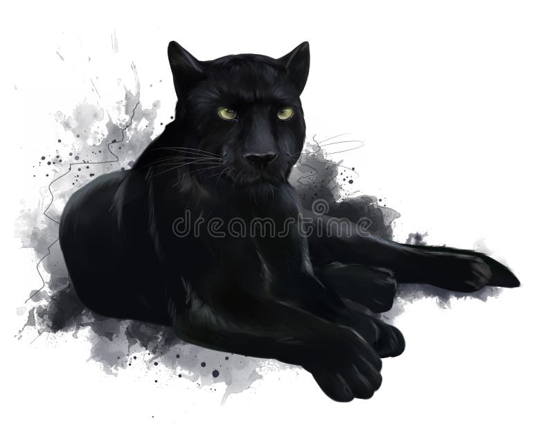 A large black Panther. Watercolor drawing