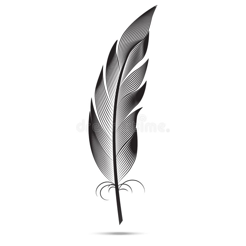 White Feather Stock Illustrations – 213,593 White Feather Stock  Illustrations, Vectors & Clipart - Dreamstime