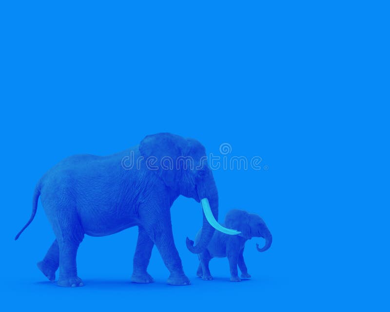 Blue Elephant Color and Hair Studio - Home - wide 2