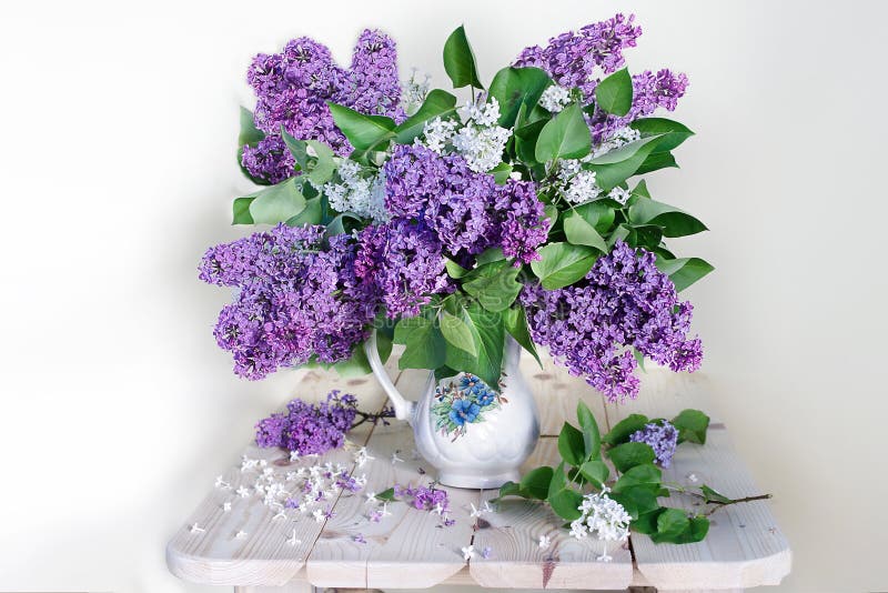 https://thumbs.dreamstime.com/b/large-bouquet-lilac-white-vase-background-spring-still-life-142617856.jpg