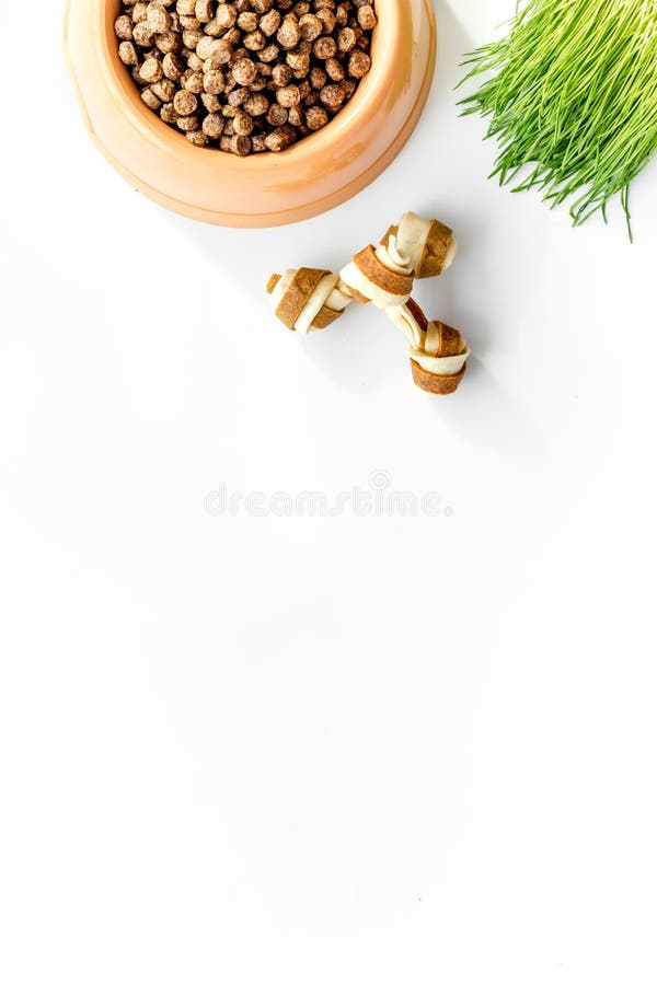 Download Large Bowl Of Pet - Dog Food With Toy And Plant On White Background Top View Mockup Stock Photo ...