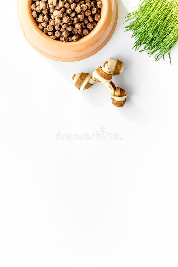 Download Large Bowl Of Pet - Dog Food With Toy And Plant On White ...