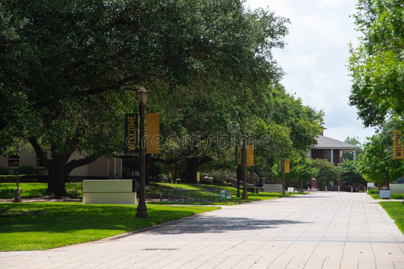 Large brick walkway with row of post light pole banners welcome Waco, Texas college campus, tree canopy shade, grassy quad courtyard front yard, sunny summer sky, education, landscaping concept. USA