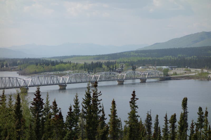 A Large Bridge Spanning the Yukon River Stock Photo Image of pine