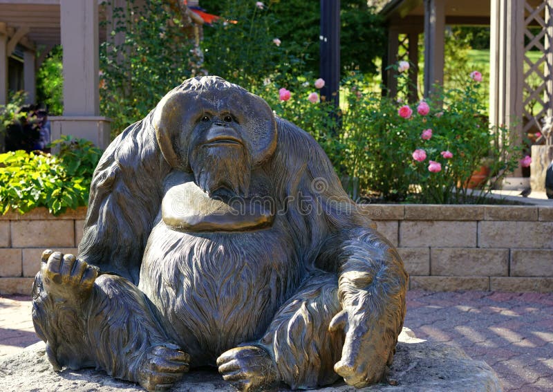 Large Bronze Orangutan Sculpture  Stock Photo Image of 