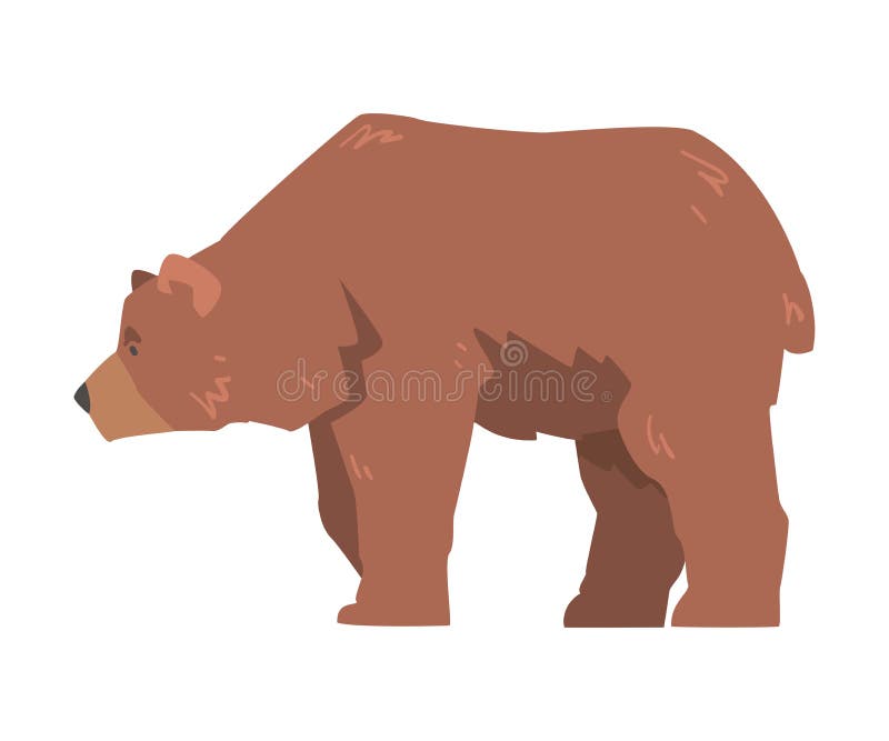 Large Brown Bear, Side View of Wild Predator Mammal Animal Cartoon