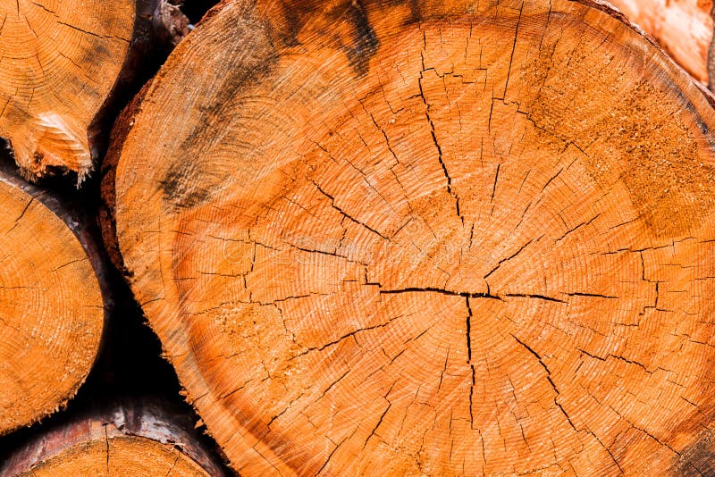 Large circular piece of wood cross section with tree ring texture stock photos Large circular piece of wood cross section with tree ring texture stock photos