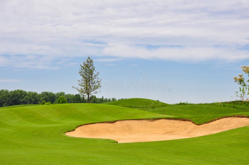 Golf Course Links with Blue Sky Stock Photo Image of tree, clean 148330194