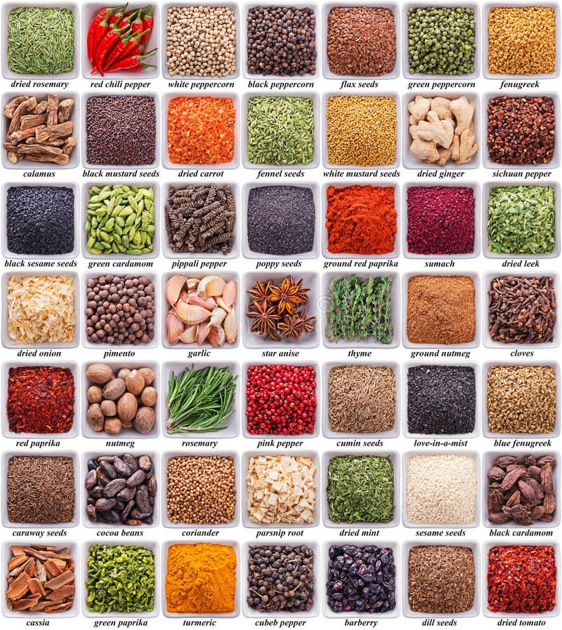 Indian spices collection stock image. Image of background 16631183