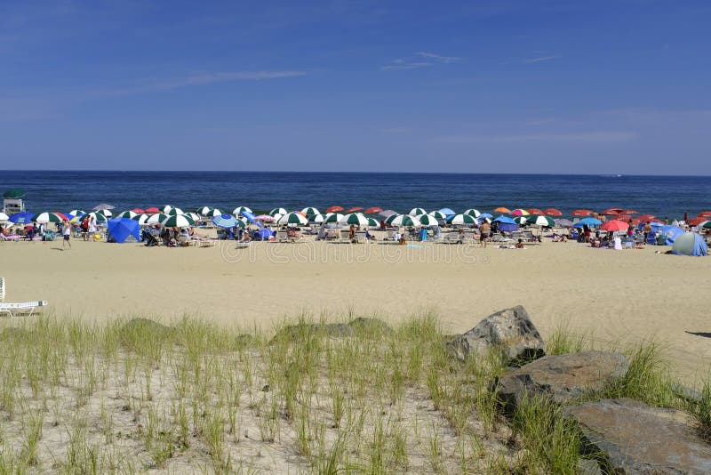 Large crowd enjoying a sunny beach day at Seven Presidents Oceanfront Park in Long Branch
