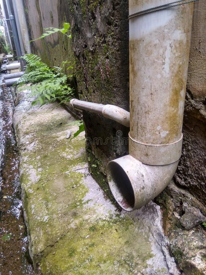 The Large Drain Hose from the Toilet Has a Lot of Moss Under it Stock