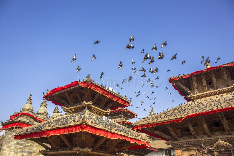 large flock of gray pigeons on the roofs of the pagodas of red Asian temples and fly in the blue clear sky stock photos large flock of gray pigeons on the roofs of the pagodas of red Asian temples and fly in the blue clear sky stock photos