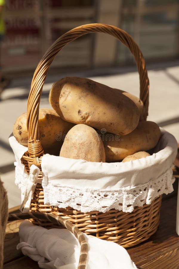 Large Fresh Potato in a Beautiful Basket Basket Stock Image Image of garden, background 57652329
