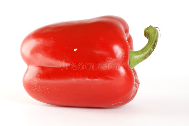 Large Fresh Red Bell Pepper Stock Photo Image of pepper, food 14291342